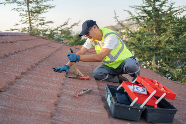 Sealant for Roof in Alexandria, VA